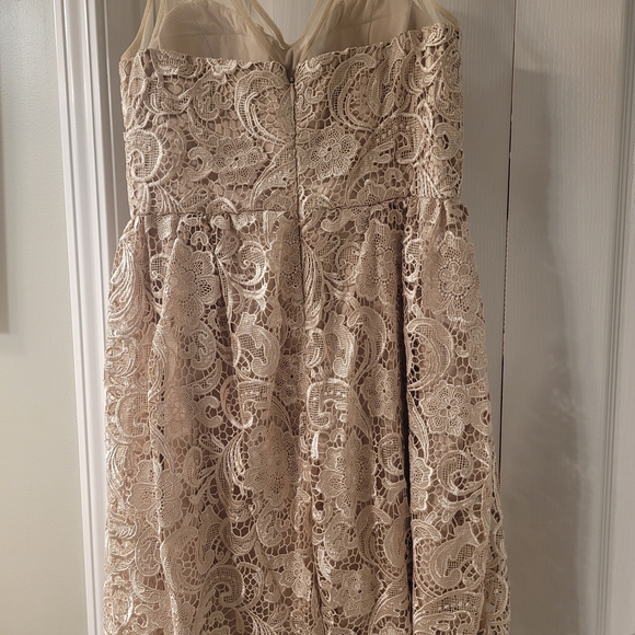 Adrianna Papell Elegant Lace Cocktail Dress in Cream - Picture 5 of 6